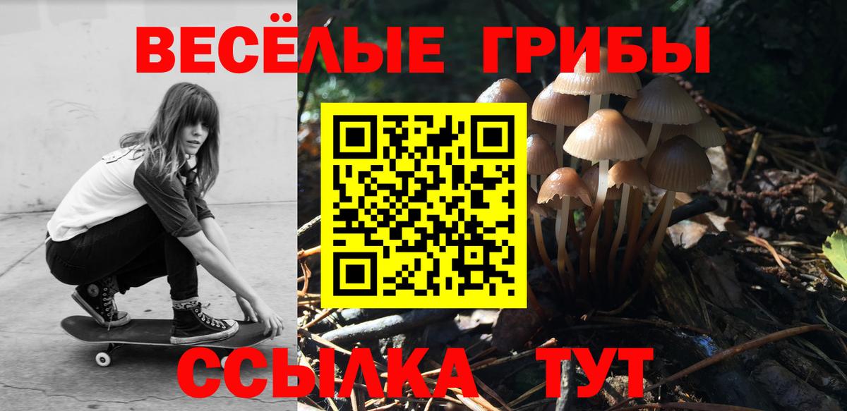 Псилоцибиновые грибы GOLDEN TEACHER  Вход с VPN  что такое   Красноярск  Галлюциногенные грибы Psilocybine cubensis 